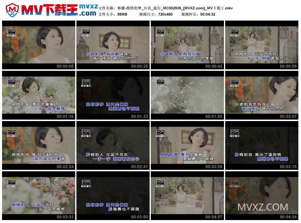 林姗-绝情的梦_台语_流行_MC502539